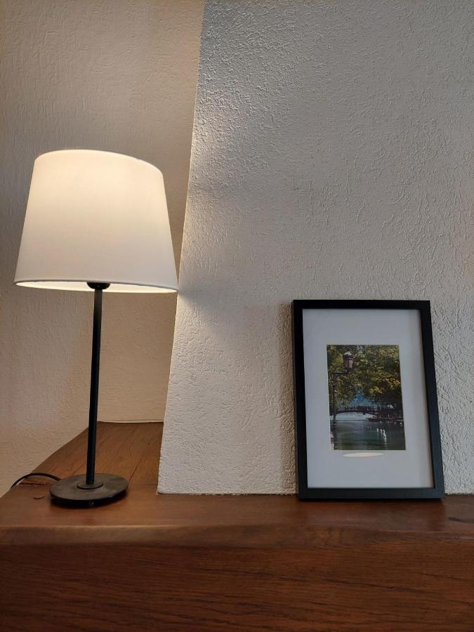 Le Vintage - Appartement En Plein Coeur De La Vieille Ville Annecy Esterno foto