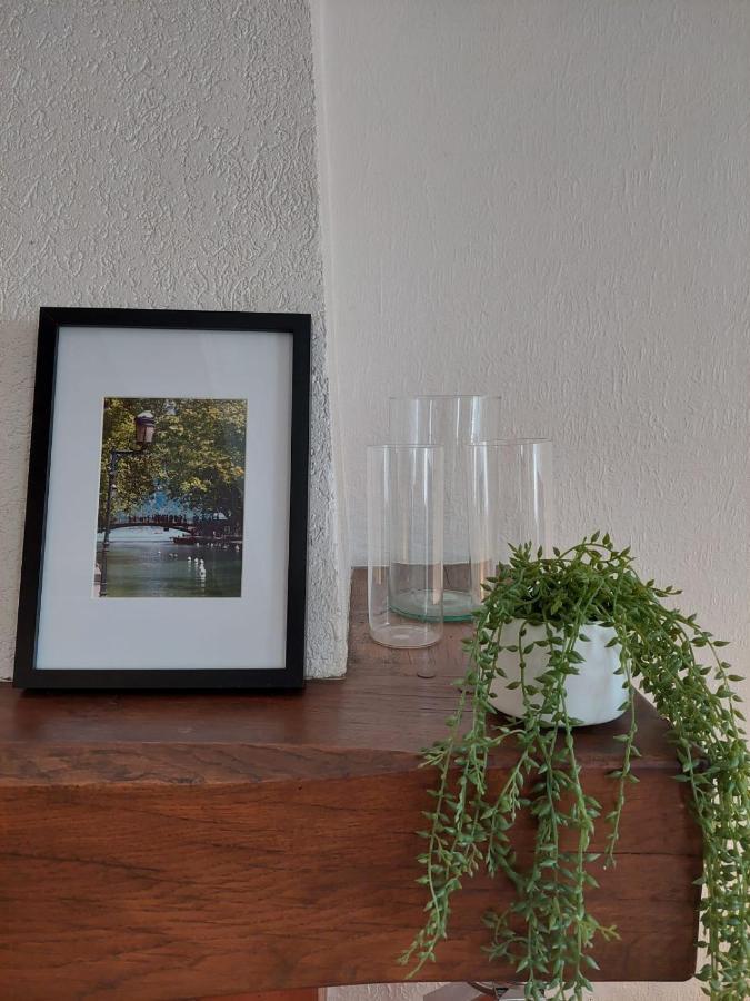 Le Vintage - Appartement En Plein Coeur De La Vieille Ville Annecy Esterno foto